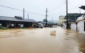 ��õ���ü��������� ����, ������ ����ȣ�� �� �θ� ���� ��� �ڴʰ� �˷���