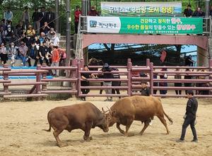 'â�� ���� �μӼ����ܷ���ȸ' 25�� ����������170������ ����