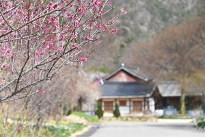 ���ī�� û�۱�,  ���ݰ� ���� ���� ���� ù�λ�