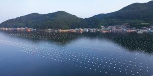 ������ ���� ���� 180��, �뿵������ �� �������� ã�´�