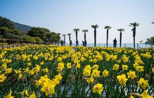 ������ �� �ְ� 21�� '������ ������'�������ϱ��� 20�� ����