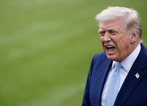 Ʈ���� '����ȭ' ������ �̶� 