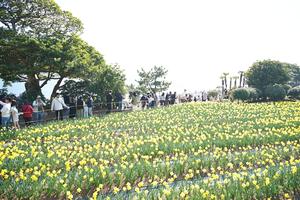 '��3ȸ ������ ����ȭ ����' ��Ȳ�� ������