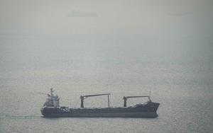 �Ϸ糲�� Ʈ������ '������ø'������ȣ������������ü��� �����º�ó