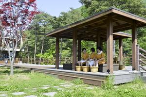 ��õ ������ ġ���� ��, ��2026 ������Ͻ� �������� ������