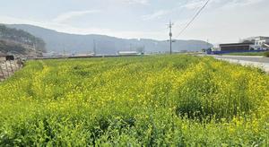 ���� ���鿡 ã�ƿ� ���� ����, û�� ��ä �ɹ�