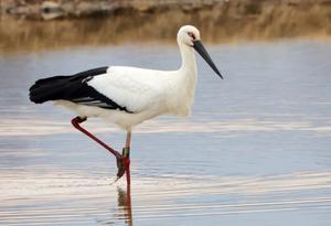 â�� �ֳ��������� �Ϻ� ��� Ȳ�� �߰ߡ�����2022��� ����