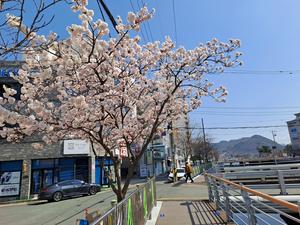 ���� �̼����� �� £�����١������� ���� �̼����� �߰� ����