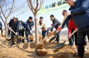 ��ϵ�, ���� ����������� '����� ����'�ɴ´�