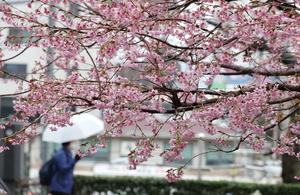 �������� ������ ���񡤡����� �ְ���� 21��