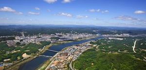 ��û ������ �ٲ� ������ �̷�, �ȵ��� 10��