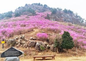 30ȸ �´� ���� ��ݻ� ���޷� �������, 4�� 3�� ������