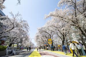 �ȵ� ���������� ��2026 ���������� ����