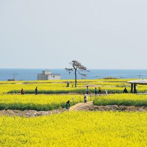 ȣ�̰����� ������ ���� �⿬������2026 ���� ȣ�̹ݵ� ��ä�� ���� ����