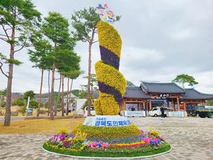 �ȵ���, ��ϵ���ü����ȸ �¾� ȶ�� ������ ��ġ