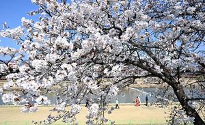 ���� ����, �� ġ�� ���� ��