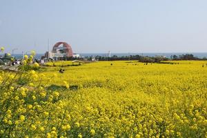 ���� ���׽��� ���Ѵ���, ȣ�̰� ���������� ���� ���ˡ��������������� ��ȭ