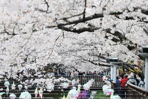 â���� ���� ���� �ɴ�ȡ������ָ� ������ ���ɱ���