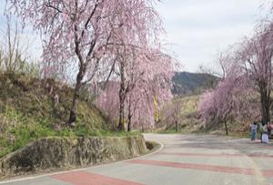 '���� �þ��� �̷� ���� ���̳���'��������â ����� �ӺҸ���, ����4ȸ �ӺҸ� �ɼ����������� ����