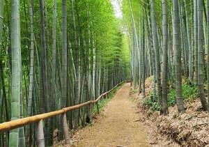 �׼� �丮��ü�� ǳ��������'���������볪������' 24��26�� ����