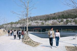 ���� 3�� ���� 7õ�� ���� ����������������� ü���� ���� �� ���� �λ�