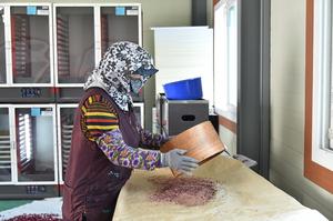 û�۱�, �̻��� �¼� ��� ���� ���� �ѷ¡����� �ɰ��� ���