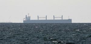 [�̡��̶� 2�� ����] ȣ������ ���� Ǯ���������������� ���ָ� ��������� ����