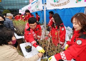 ���籺, ��81ȸ �ĸ��� ��� �������������ֱ� ��硯 ����