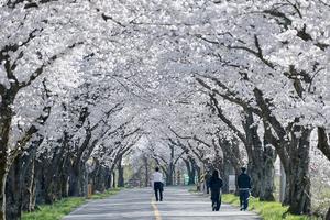 ������ �����ٰ�?������������ �ϰ�, ������ ���� �����