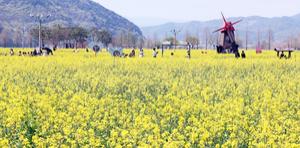 �ָ� ��ü�� ���� ���١��������� ������ Ȳ�� ���� ���ɼ�