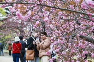 ���� �ұ������ �㺢�� ������ �ӹڡ���������ȫ�� ���� ���