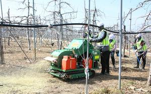 ��ϵ�, ã�ư��� ����λ깰 �ļ�����, ��� ���� ȿ�� �����塯