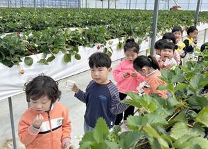 ��ȭ�� ��̱޽İ����������� ��ưư���� ����� ģ���顯 ���� ���� ü�� ��� �