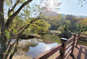 '��������' ǰ�� �ȵ��������Ǳ�â �ȵ����� �����ĺ�, �������� ���� ����