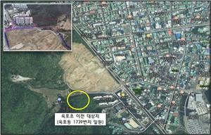 ���� ������ ���� ���� ���� ����������2029�� ���� ���� ����ȭ