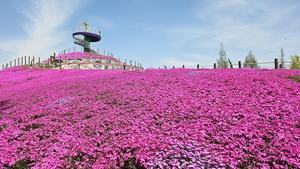 ��ââ����, ���ɿ��� �ƽ��� �޷� ���ܵ� ����