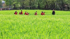 �ָ� ���� ���� ����������20�� ���� ū �ϱ��� ����