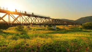 ������ ���� ���� �޸��١��������� `���� ����ũ`