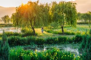 ��â��, ��2026 ��â�� On ���������� ü���� �������� ���