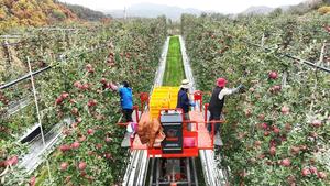 û�۱�, ��μ��� ���� �������� �󰡰濵 �δ� �����ش�