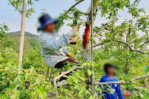 û�۱�, �ܱ��� �����ٷ��� 451�� ���� �Ա� ���� �η³� ���� ư��