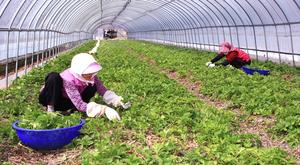 ��21ȸ ����곪������ ��5���� ��⡯������û�� �ڿ��� ���� ���� ���� �����δ�