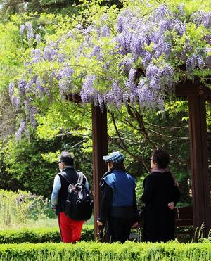 ù ������ 5�� 1�� �뵿��, ���� �� �ְ� 26��������'����'�� £��