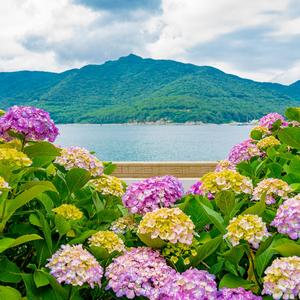 �Ľ����� ������ Ǫ�� �ٴ��� �������������� �����׼� 27��28�� ���� ����