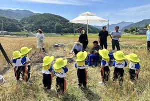 �ʿ��� �й缭 ���� ��â �����¸��� �츮�й� ��ǳ�� ����