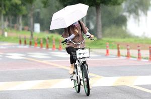 ���� '�뼭' �ߺο� �����, ���ο� ���������������� �ѳ� 38������
