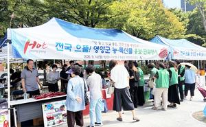 ���籺 �Ͽ���, �뱸 �������� �� �� Ư�깰 ���ŷ� ��� ����