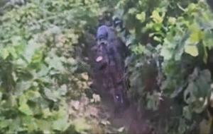 ��, DMZ �������� ���ԡ������������� ���� ���� �߰����� ����
